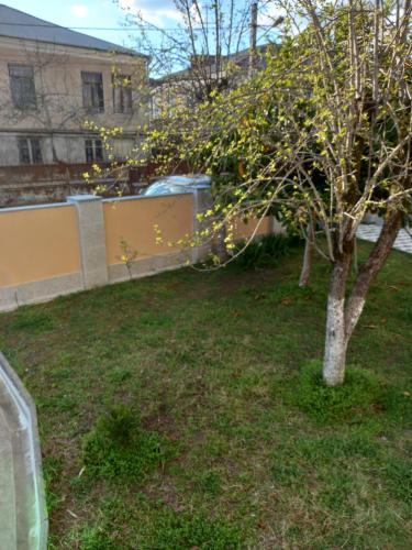 een boom in een tuin naast een gebouw bij Tskaltubo Apartment Mirian Mepe in Tskaltubo