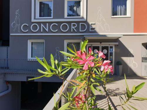 サロンノにあるHotel Concorde Fieraのピンクの花の植物