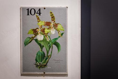 ein Bild eines gerahmten Bildes von Blumen an der Wand in der Unterkunft Bergwirt Hotel & Gasthof in Kiefersfelden