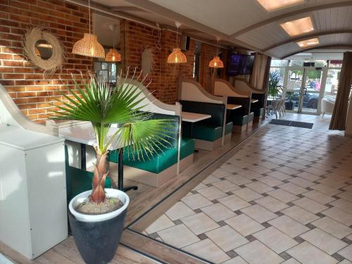 una planta de palmera en una olla en el vestíbulo en Hotel De La Mer, en Saint-Malo