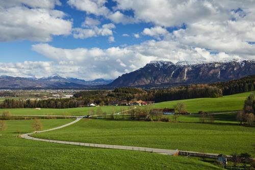 zielone pole z górami w tle w obiekcie Das Salzburgblick w mieście Ainring