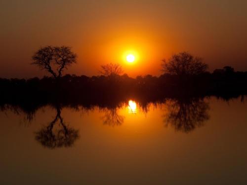 a sunset over a body of water with trees at Sunshinevibe guest house in Kasane