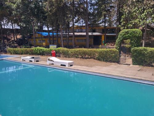 Baseinas apgyvendinimo įstaigoje Triple Eden Resort - Naivasha arba netoliese