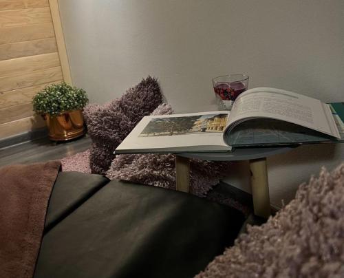 a book on a table on top of a couch at Apartment Buga Bilje in Bilje