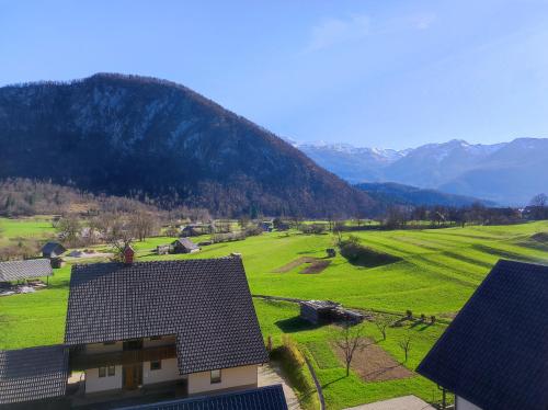 ボーヒニにあるApartmaji Mojcaの緑地山を背景にした家