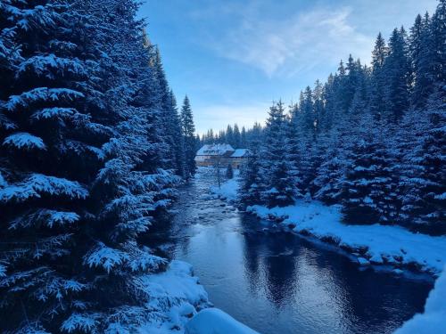 a river with snow covered trees and a house at Pivovar Lyer in Modrava