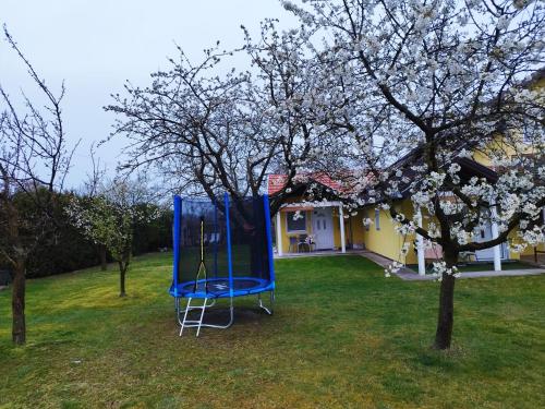 um parque infantil azul no quintal de uma casa em Soba Milica em Palić