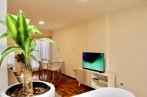 a living room with a potted plant and a television at Malanca - Nueva Córdoba in Cordoba