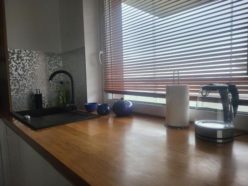 eine Küchentheke mit einem Waschbecken und einem Fenster in der Unterkunft Apartament MAJA (przy Aquaparku w Redzie) in Rumia