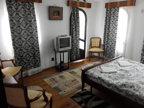 een woonkamer met een bed en een televisie bij Vila Madudu in Vălenii de Munte