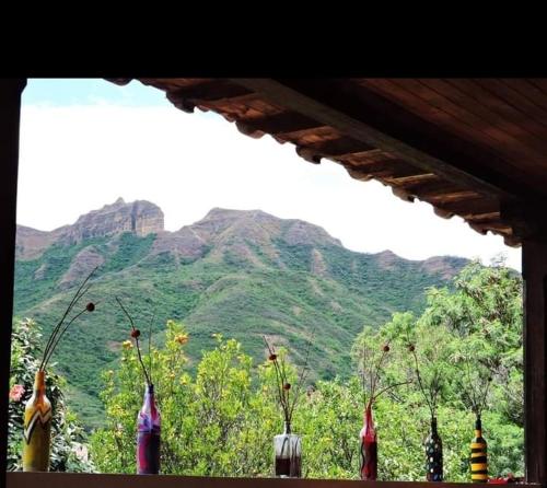 Pemandangan umum gunung atau pemandangan gunung yang diambil dari hostel