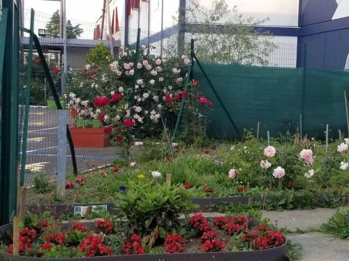 un giardino di fiori di fronte a un edificio di N&Z HOTELS a Trappes