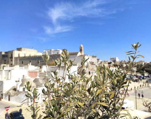 roślina przed miastem z budynkami w obiekcie Noù la tua casa in Puglia w Alberobello