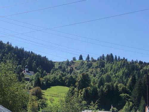 een huis bovenop een heuvel met bomen bij Casa Firuta Borsa in Borşa