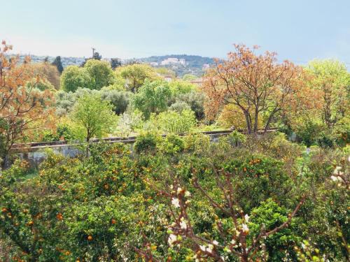 un jardin avec des arbres et des buissons plantés d'arbres dans l'établissement BELLA CISTERNA, à Kambos