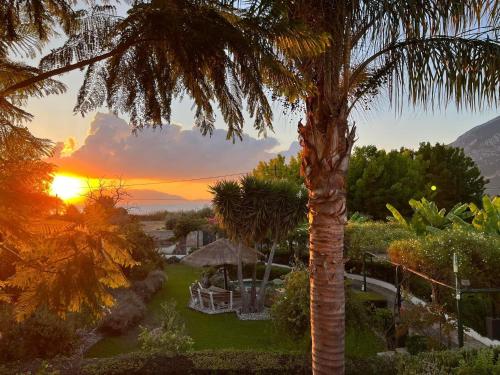 een palmboom met de zonsondergang op de achtergrond bij Sunny Garden Aparthotel in Oud Epidauros