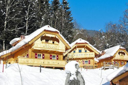 纽科琴格罗斯夫Chalet in Neukirchen for 4 people的雪覆盖着一个大的木屋