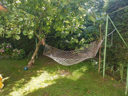 a hammock hanging from a tree in a garden at Rest house in Truskavets