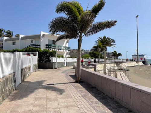 eine Palme auf einem Bürgersteig neben einem Strand in der Unterkunft SAN AGUSTIN SEAVIEW BLUE APARTMENT in Maspalomas