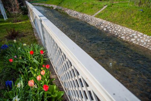 O grădină în afara Riverside Apartman**** Miskolc