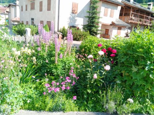 A garden outside Da Carla Dolomiti Val di Zoldo