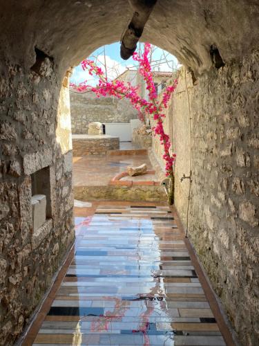 un chemin avec un arbre au milieu d'un mur dans l'établissement Èlia Luxury Rooms, à Areópoli