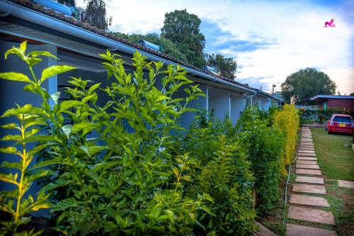 een rij planten naast een gebouw bij Riverside Villas Nanyuki in Nanyuki