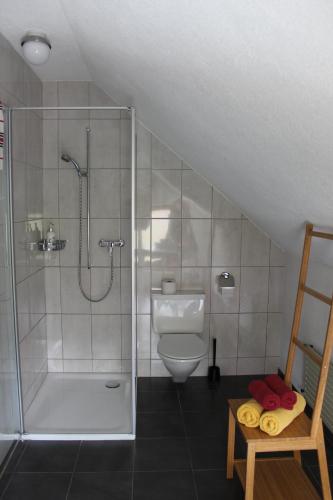 a bathroom with a shower and a toilet at A CÔTE in Môtiers