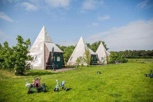 Jardí fora de Boerderij Halfweg