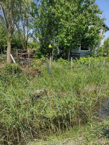 Vrt ispred objekta Tuinhuisje in het groen