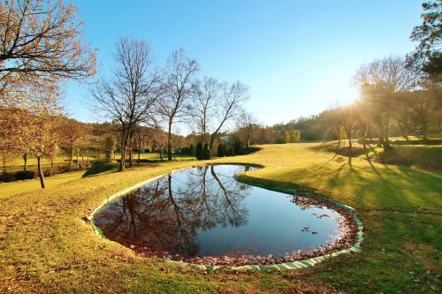 a small pond in the middle of a field at Rilhadas Casas de Campo in Fafe