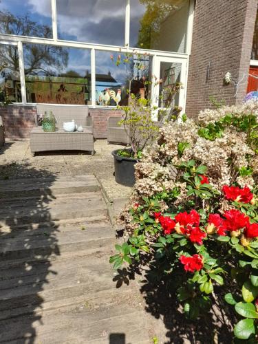 een tuin met rode bloemen voor een huis bij Vakantie Accommodatie Egelantier in Dwingeloo