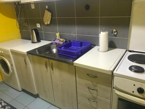 A cozinha ou cozinha compacta de Niš Apartman