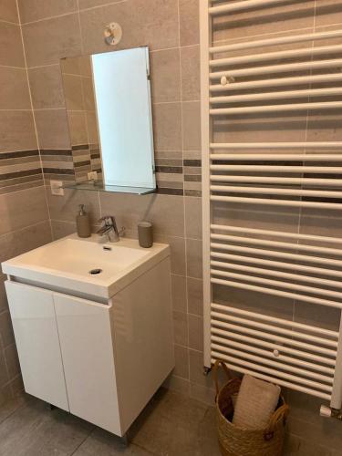 a bathroom with a white sink and a mirror at Grand Studio neuf in Aulnay-sous-Bois