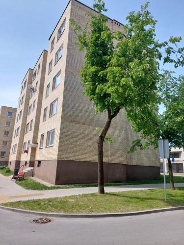 希奥利艾Visinskio apartamentai的一座大建筑前的树