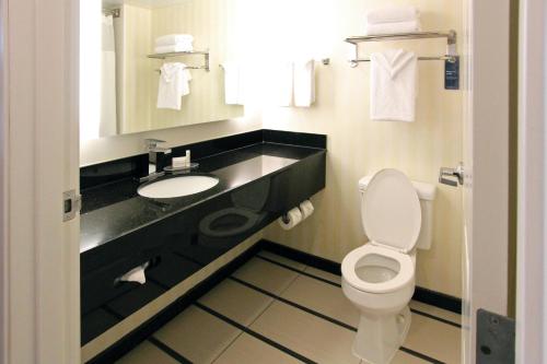 y baño con aseo y lavamanos. en Fairfield Inn & Suites by Marriott Charleston Airport/Convention Center, en Charleston