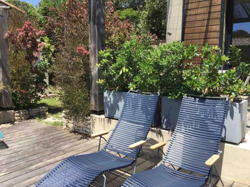 twee blauwe stoelen op een terras met planten bij songes d été2 in Bonifacio