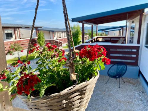 uma cesta cheia de flores vermelhas num pátio em Mobile homes Kamp Maslina, Biograd na Moru em Biograd na Moru