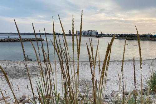 a view of the water from a beach with tall grass at Fewo 3-13 Ostsee in Kappeln