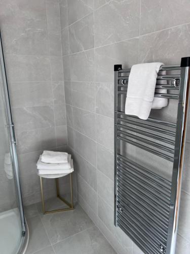 a bathroom with a shower and a toilet and towels at Feeney's Audubon Lodge in Galway