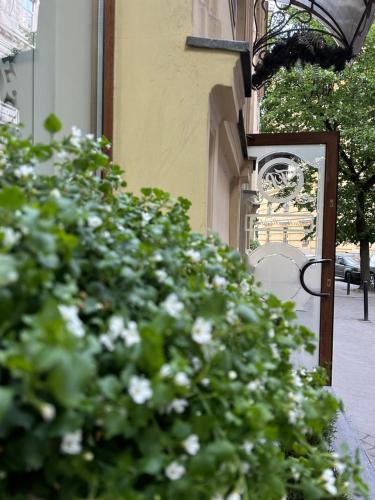 um arbusto com flores brancas em frente a um edifício em Family Residence Boutique Hotel em Lviv