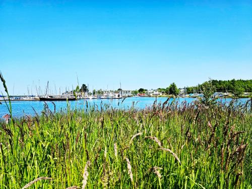 Blick auf einen Fluss mit einem Grasfeld in der Unterkunft Seezeit - gemütliche Ferienwohnung, Tiefgarage, Cospudener See in Markkleeberg