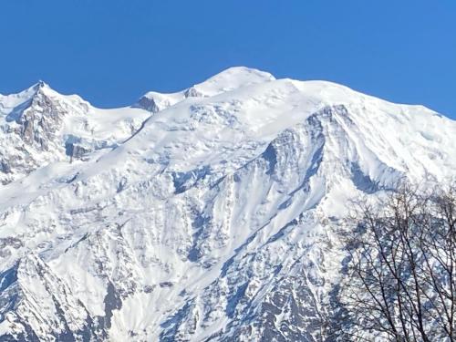 una montaña cubierta de nieve con árboles delante de ella en Les Edelweiss Mont-Blanc - Gîte Classé 3 Etoiles, en Passy