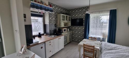 eine Küche mit einem Bett, einem Waschbecken und einem Tisch in der Unterkunft Vánkoska Apartman Tihany in Tihany