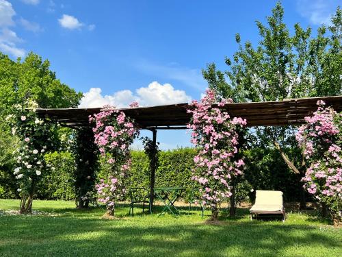 uma pérgola de madeira com flores cor-de-rosa e um banco em All'Ombra Del Tiglio em Pistoia