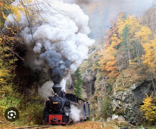 un treno a vapore sta scendendo dai binari di Pensiunea OK a Vişeu de Sus