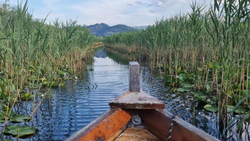 un bateau dans l'eau dans un champ de roseaux dans l'établissement JOCKER, à Virpazar