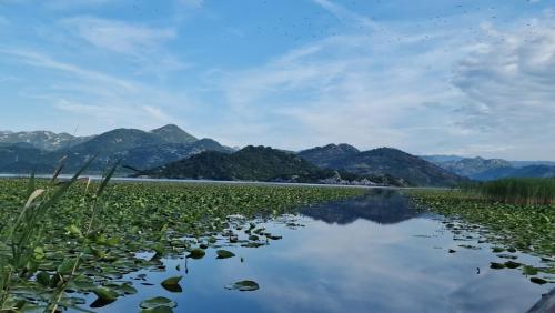 une masse d'eau avec des montagnes en arrière-plan dans l'établissement JOCKER, à Virpazar