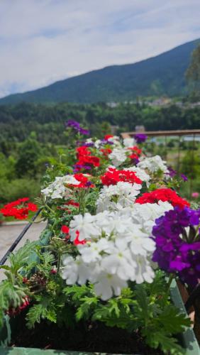 - un bouquet de fleurs colorées sur un balcon dans l'établissement ALICE di SOPRA, à Andalo