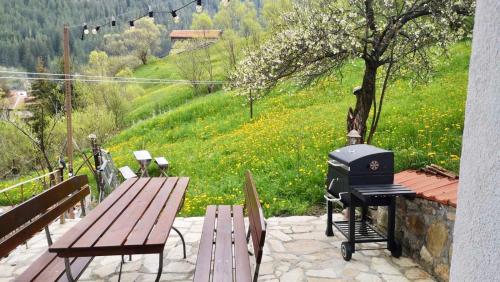 - un barbecue et des tables de pique-nique avec vue sur une colline dans l'établissement Къща До Гората Триград, à Trigrad